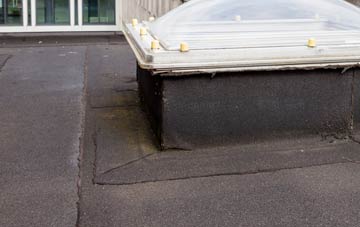 disadvantages of Baldersby flat roofs
